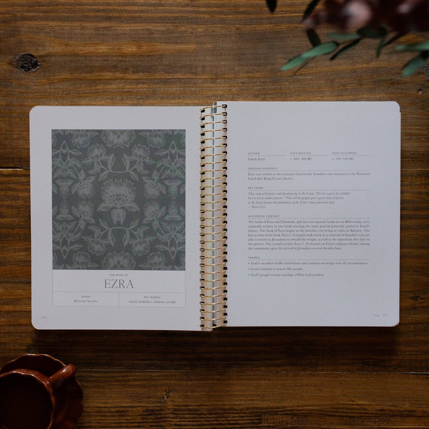 A Year in the Bible | 365 Days of Discovering the Beauty of Jesus from Genesis to Revelation | Volume 2