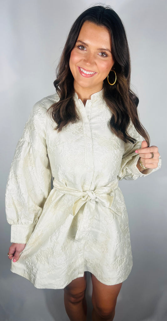 Shimmer Jacquard Dress