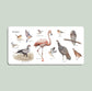Our Big Book of Animals (Board Book)