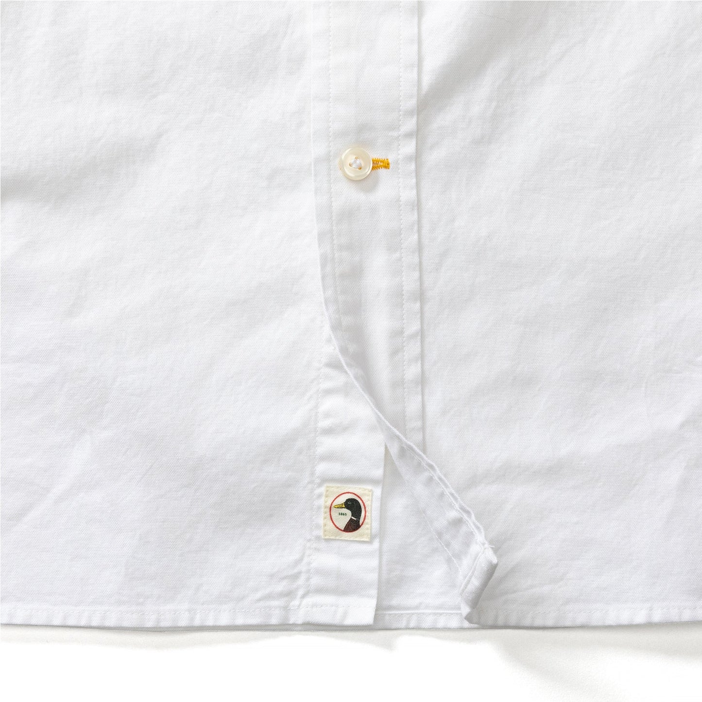 Cotton Oxford Morris Solid LS
