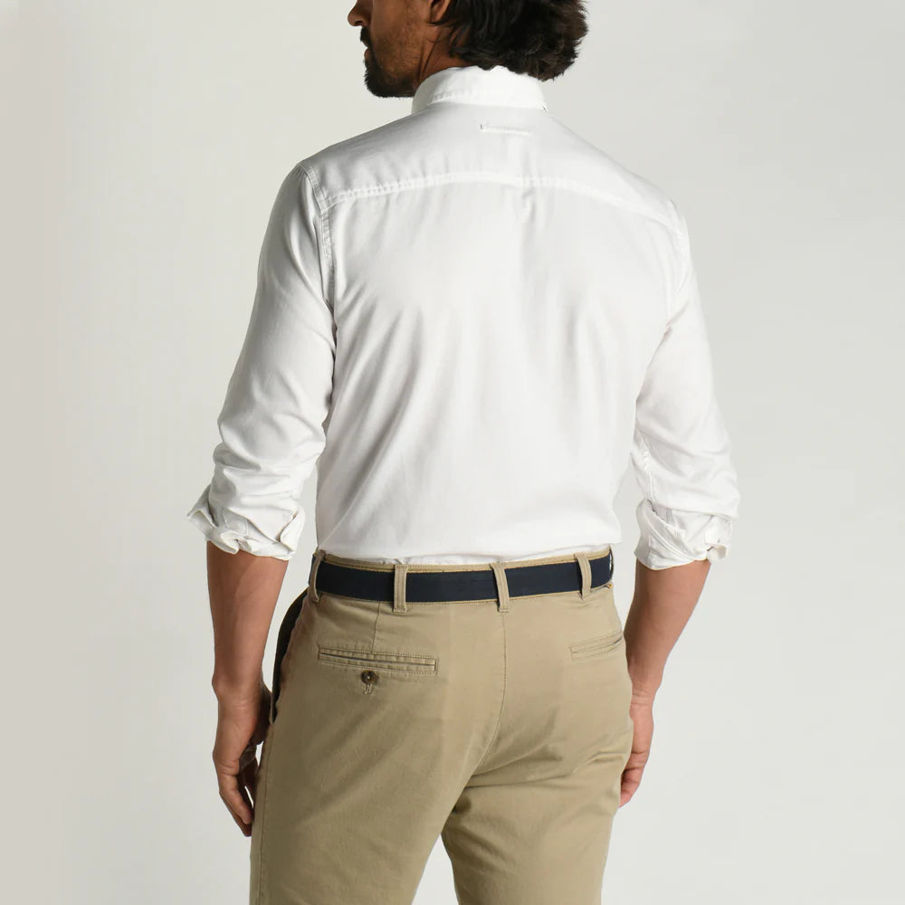 Cotton Oxford Morris Solid LS