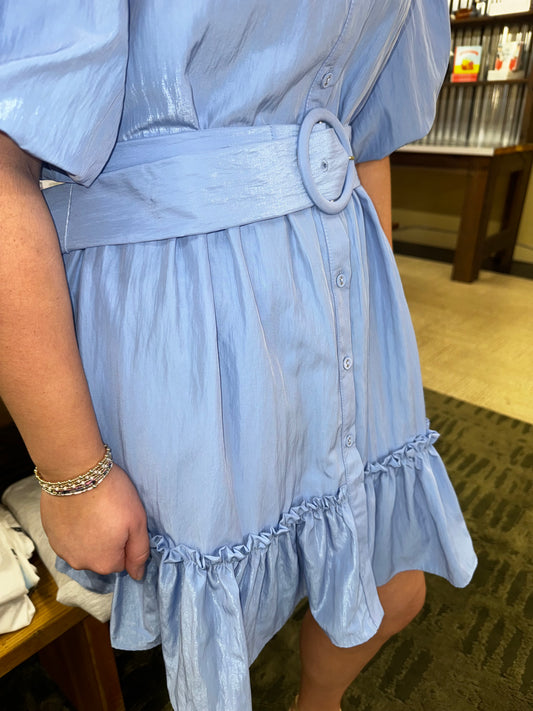 Lillian Puff Sleeve Dress