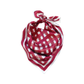 Tailgate Check Scarf in Crimson