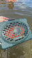 TurtleBox Gen 2 Speaker
